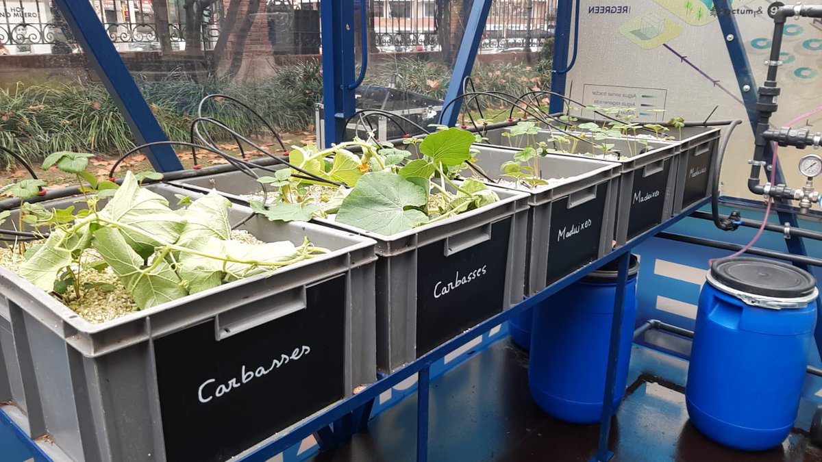 CETAQUA's tweet photo. 📢 Podrás encontrar el proyecto piloto de #innovación #REGREEN, que demuestra el potencial que tiene el #aguaregenerada en el ámbito urbano, en la Escuela Industrial de Barcelona 📍 hasta el 23/12.
Hoy, celebramos su inauguración junto a @aiguesbcnclient y @diba. 👏 https://t.co/M6okHTDccm