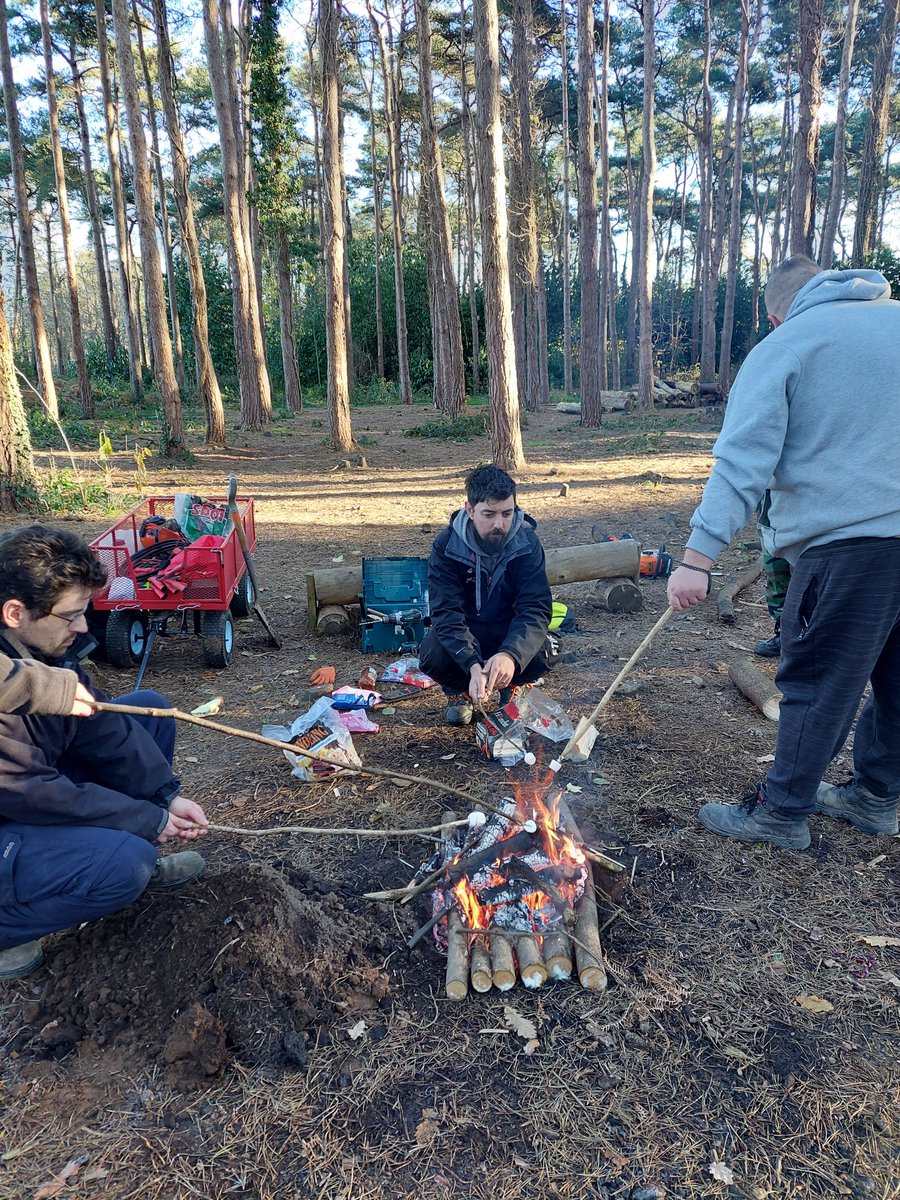 Woodland Routes to Wellbeing tweet media