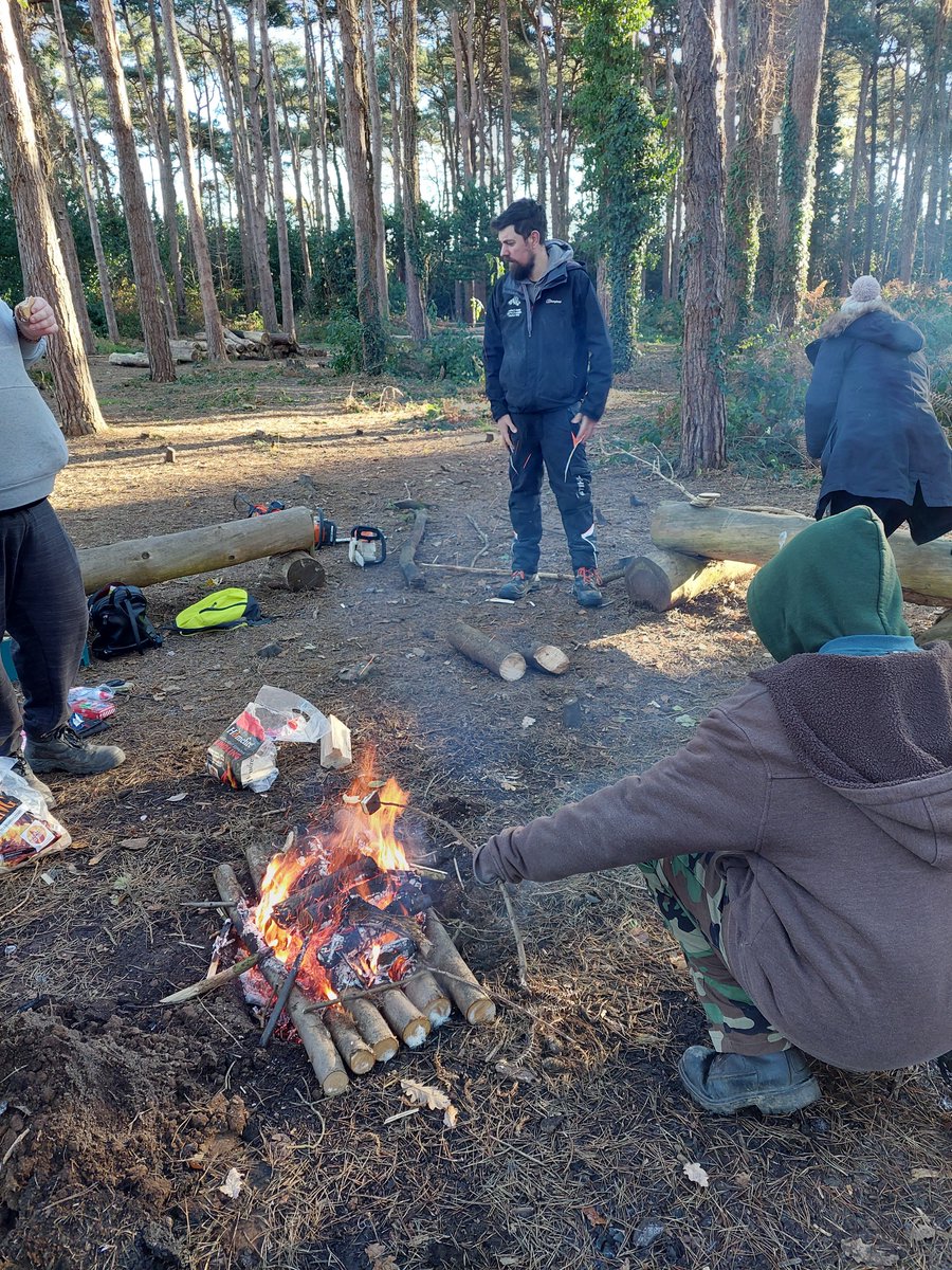 Woodland Routes to Wellbeing tweet media