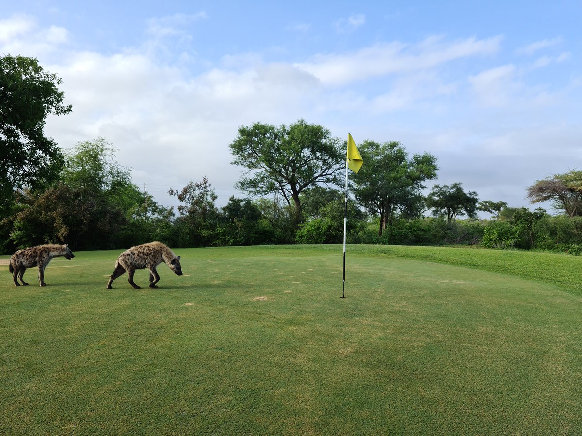 Welcome to Skukuza Golf Club! The wildest golf course...ever!

#krugernationalpark