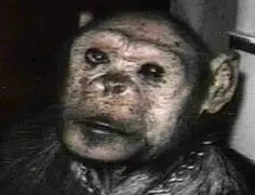 geek_man55's tweet image. coming soon…