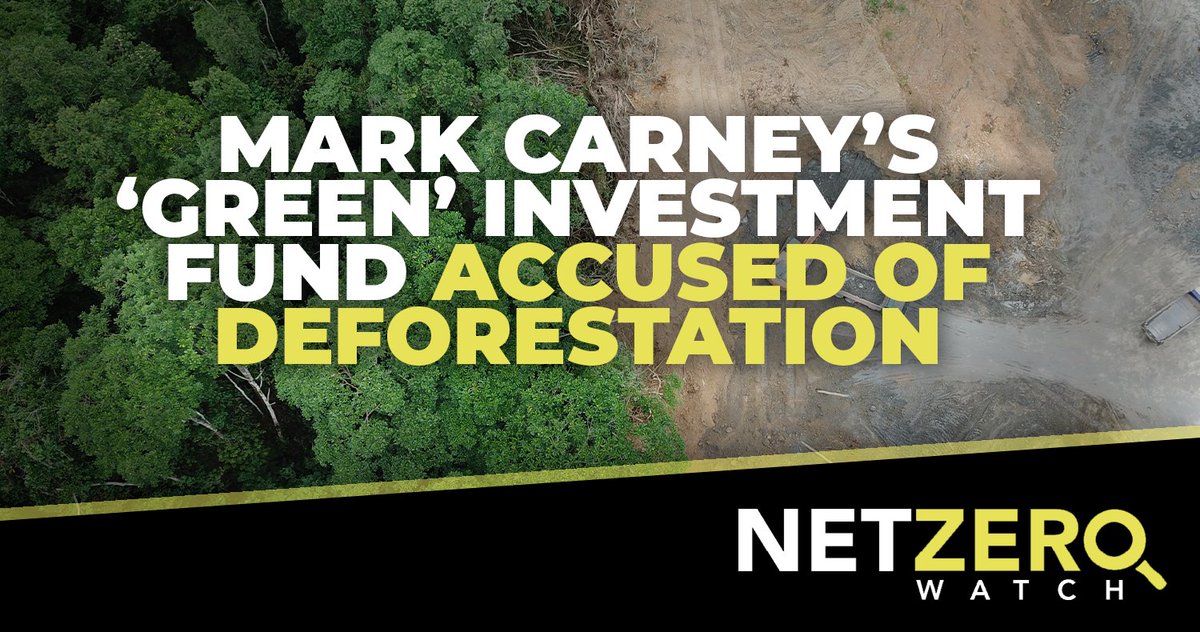 Mark Carney has been accused of climate hypocrisy after his investment company was revealed to have cleared vast swathes of tropical forest in Brazil. Oops!

#CostOfNetZero

Read more: telegraph.co.uk/business/2022/…