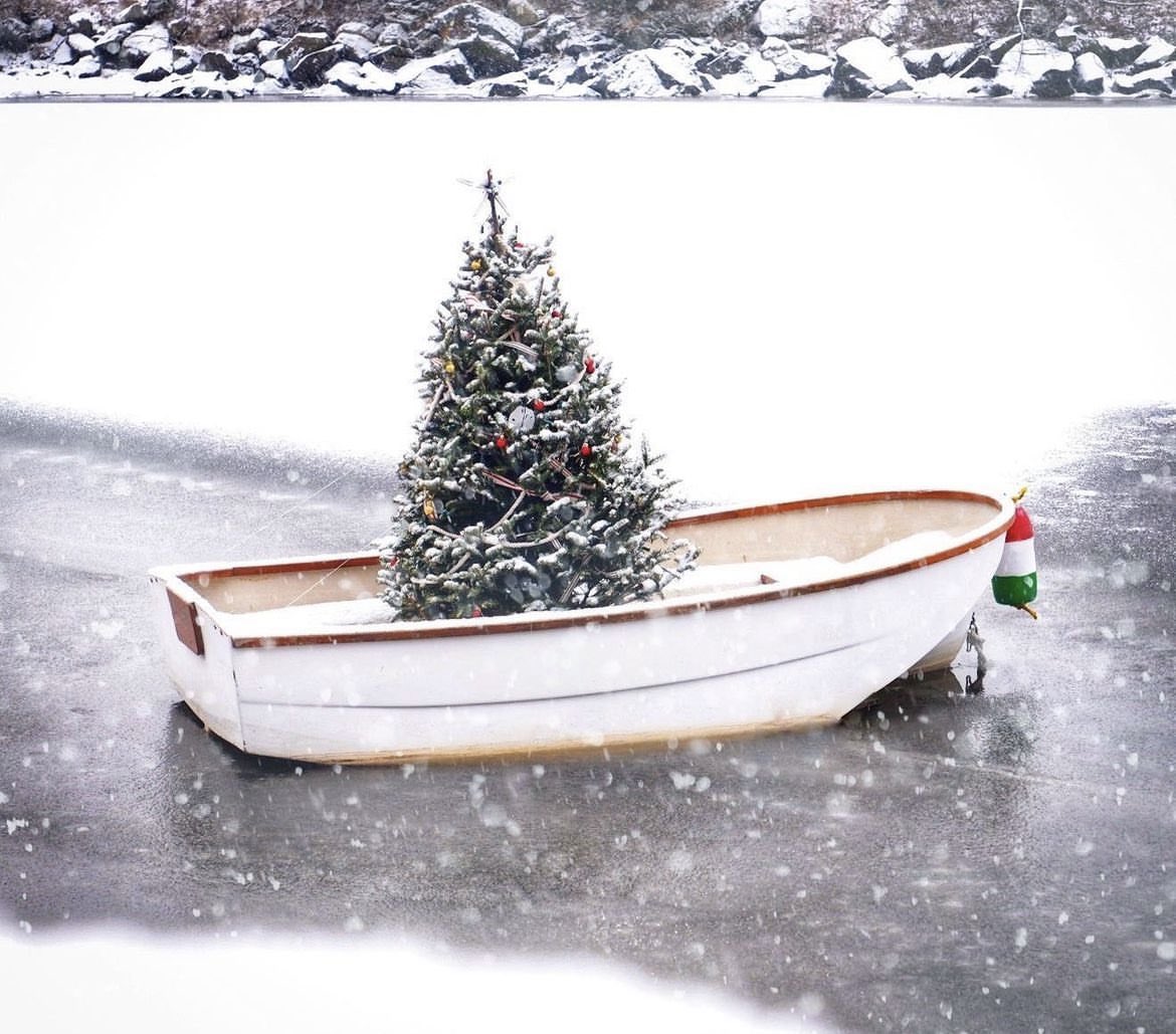 presentcorrect's tweet photo. A brief but important study of Christmas trees on boats. 

Credits: https://t.co/CgqibdgvGY

https://t.co/pdMP6CW2jv

https://t.co/fIKVzGWt4Y

https://t.co/bMI9CXPACM https://t.co/CoHxgHWxS2