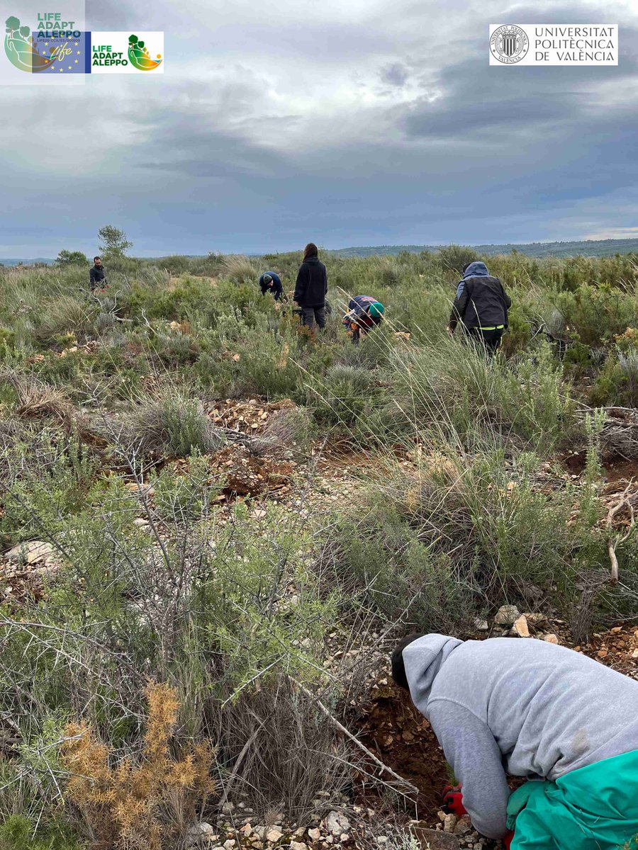 LIFE ADAPT-ALEPPO tweet media