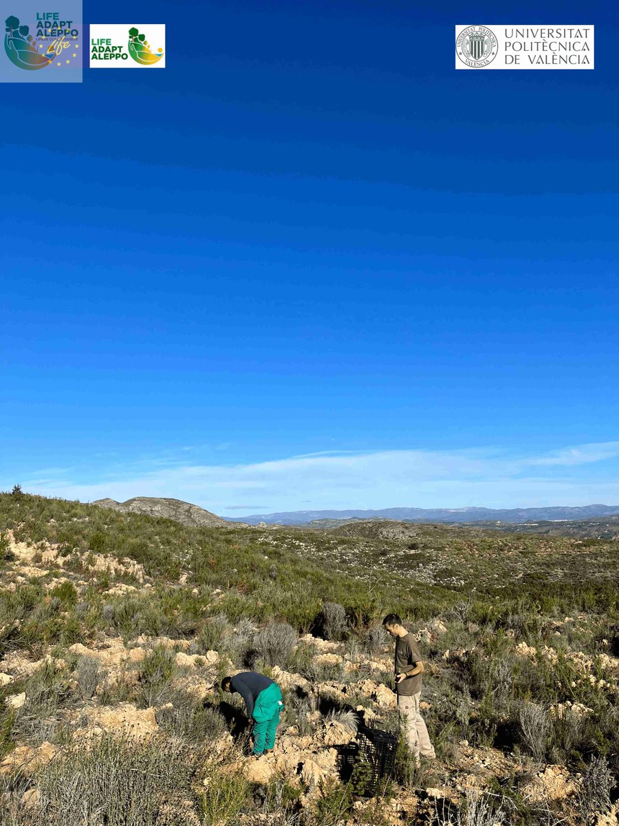 LIFE ADAPT-ALEPPO tweet media