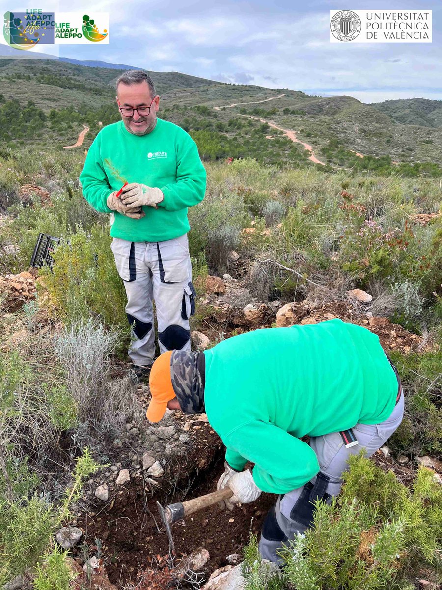 LIFE ADAPT-ALEPPO tweet media