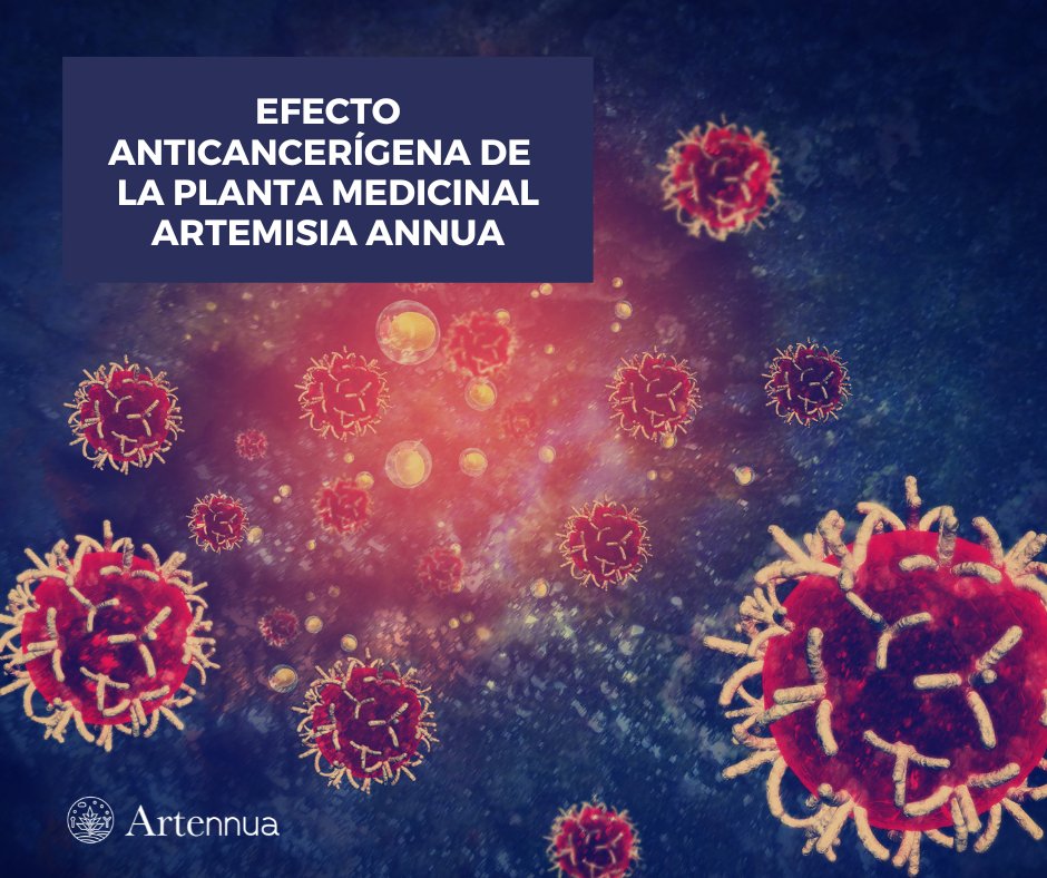 ARTENNUA® tweet media