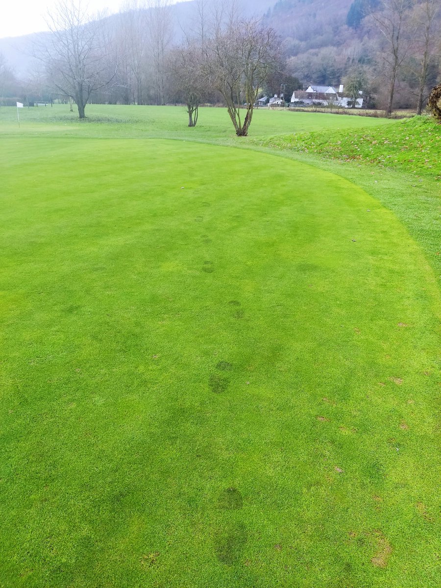 VLGC Greens tweet media