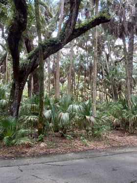 HighCoSheriff's tweet photo. Good Morning, Highlands County!

“It isn’t as bad as you sometimes think it is. It all works out. Don’t worry. I say that to myself every morning.”—Gordon B. Kinkley

Photo by Sallie Foster Harbaugh

#GoodMorningHighlandsCounty #highlandscountyfl #whywelivehere https://t.co/5RA2lkvzsU