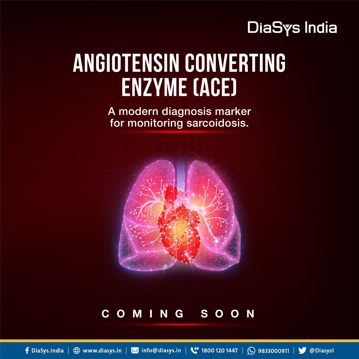 DiasysI's tweet photo. A DiaSys offers of Angiotensin Converting Enzyme (ACE) features :
1. Liquid Stable, ready-to-use reagents
2. Single Reagent
3. Excellent accuracy and precision
4. Dedicated Calibrator for optimal performance.
#AngiotensinConvertingEnzyme #NowAvailable #newlaunch #diasysindia https://t.co/r0sc5JJLjo