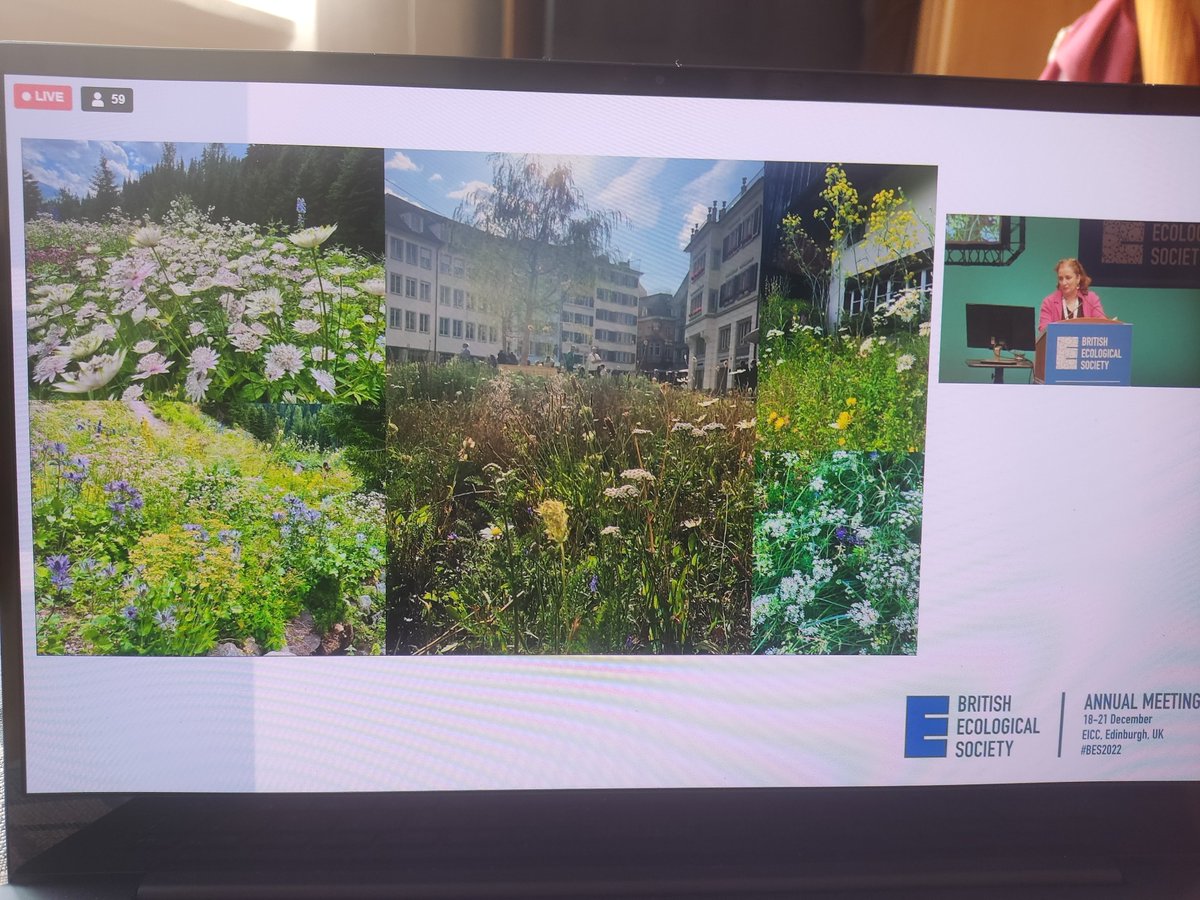 How to translate beautiful diversity experiments -and their functioning- into our cities? By getting used again to the looks of lush, untamed nature.E.g. plant decay and leaf damage are signs trophic diversity and ecosystem functioning! So explains Prof. Joshi <a href="/ost_fh/">OST – Ostschweizer Fachhochschule</a> at #BES2022