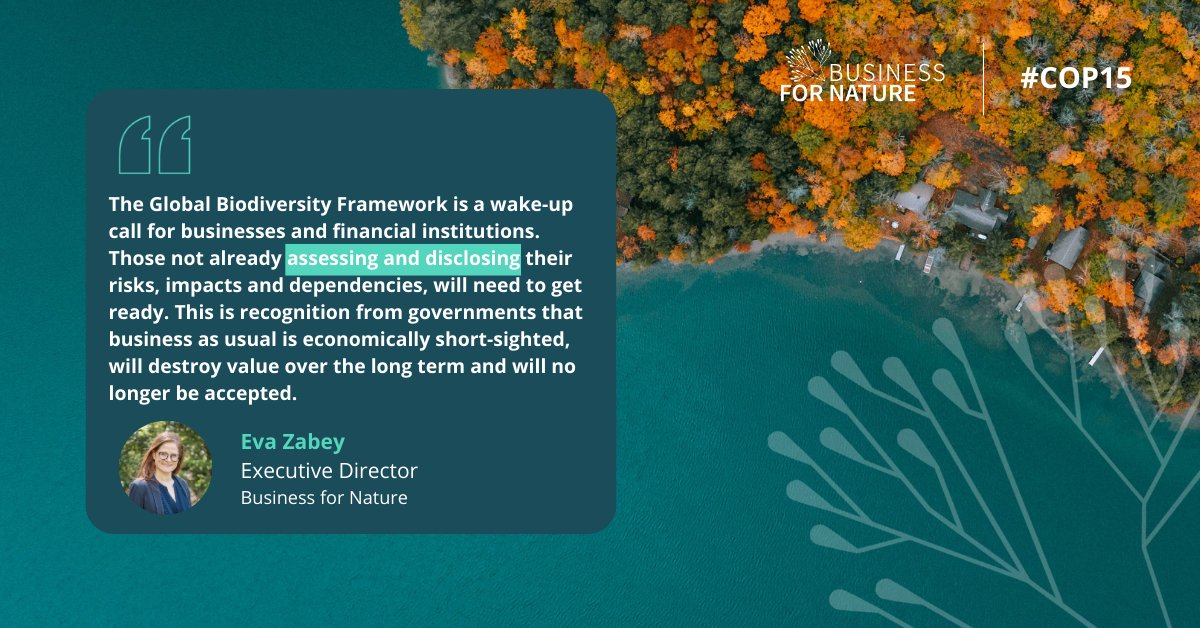 🚨🌿 BREAKING!

The historic new deal #ForNature agreed at #COP15 has answered calls from business to change the economic game for nature. The focus now moves to implementation, and companies now stand ready and committed to support these efforts.

👉businessfornature.org/news/historicc…