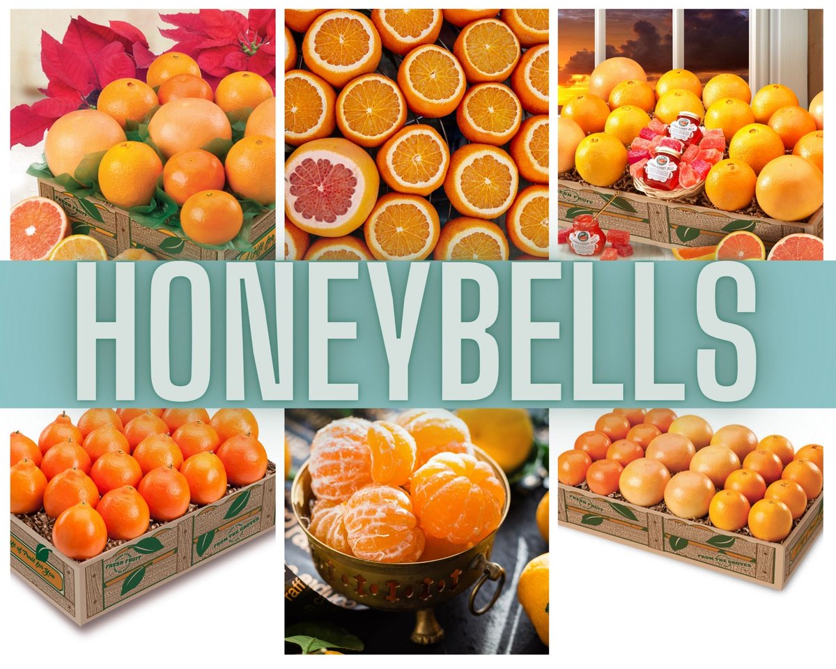 Introducing Honeybells, Best Orange - mailchi.mp/parkesdale/int…