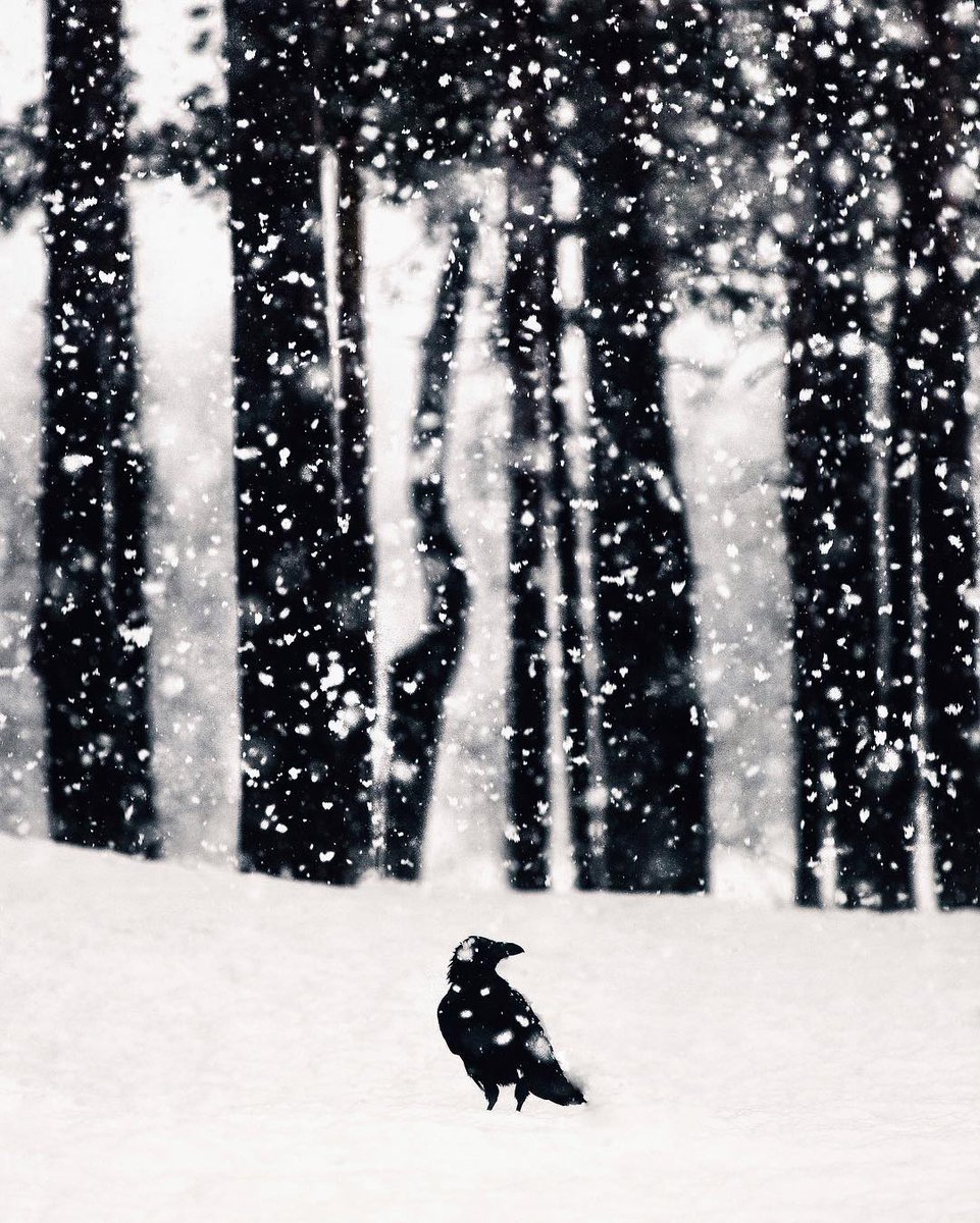 Ale (@theiaisos) on Twitter photo La plupart 
des choses du monde 
se font par elles-mêmes.
Montaigne ~ Essais
.
200 BASSISTS
youtu.be/ynr990vdK4s
.
© Konsta Punka
. La plupart 
des choses du monde 
se font par elles-mêmes.
Montaigne ~ Essais
.
200 BASSISTS
youtu.be/ynr990vdK4s
.
© Konsta Punka
.