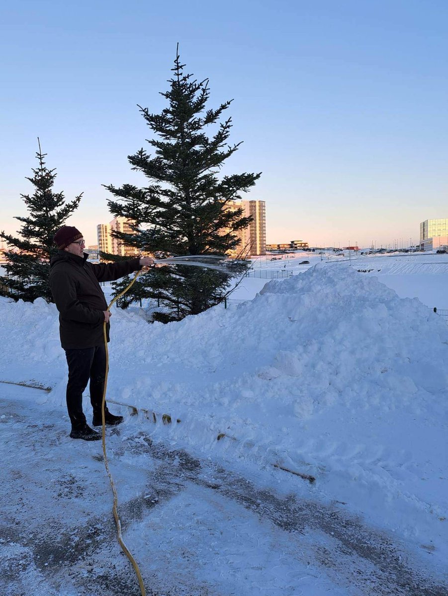 Það verður einhver að sjá um garðinn, líka í desember!