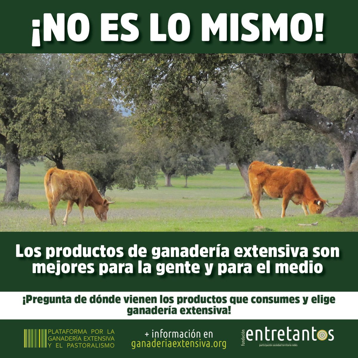 Plataforma Ganadería Extensiva y Pastoralismo tweet media