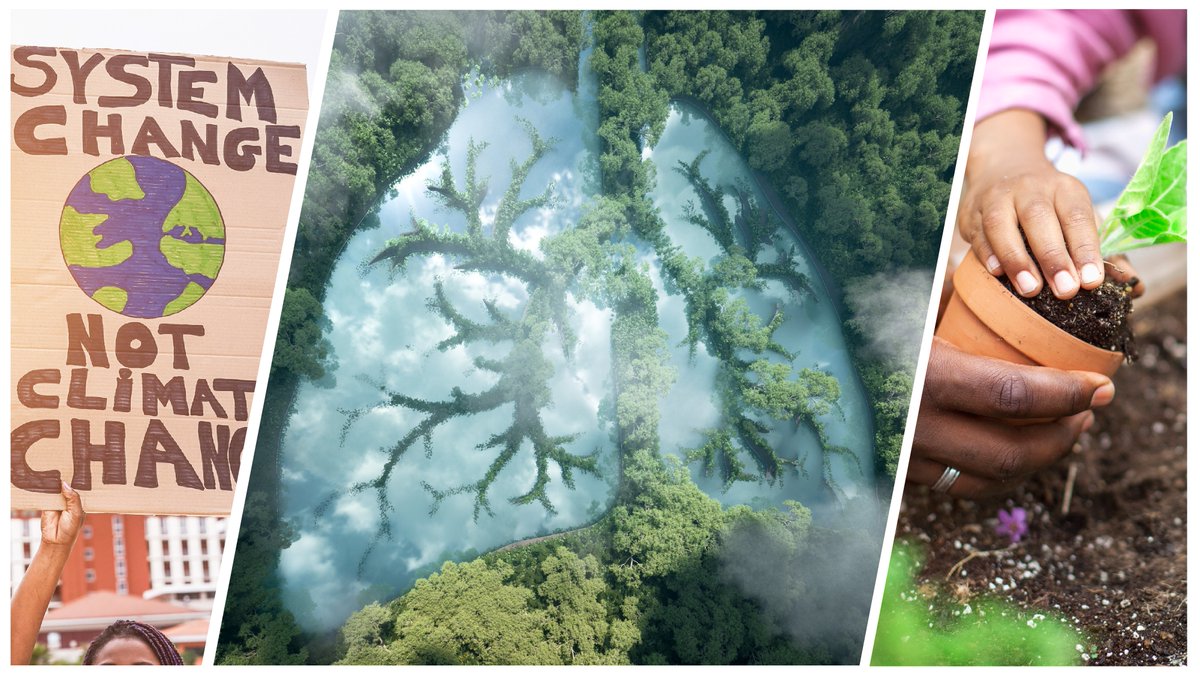 🌎🩺 Make a difference in your practice in 2023. Create an action plan that addresses climate impacts on human health in our NEW Taking Action on Planetary Health program.

📅 Starts February 17
📍 Digital Certificate Program
🔗 planetaryhealthaction.ca
