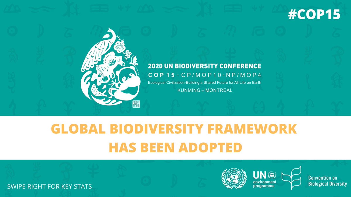Habimana_JClaud's tweet photo. 🚨#BreakingNews: Nations have adopted 2020 Global Biodiversity Framework.#GBFApost2020🌱

The Global Biodiversity Framework will guide countries to restore 30% of degraded ecosystems on land &amp; sea by 2030 and will also guide to restore 30% of terrestrial &amp; marine areas by 2030. https://t.co/o13GIDfOeF