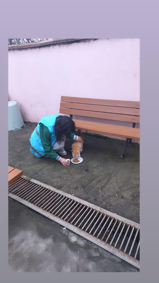 KarabukKYGM's tweet photo. Patili dostlarımız gençlerimize emanet. 🐱🐶
📍Katip Çelebi Yurt Müdürlüğü
Merhamet sahibi öğrencilerimiz yurdumuz çevresindeki canlıları da unutmadı. https://t.co/NuvaqiI87N