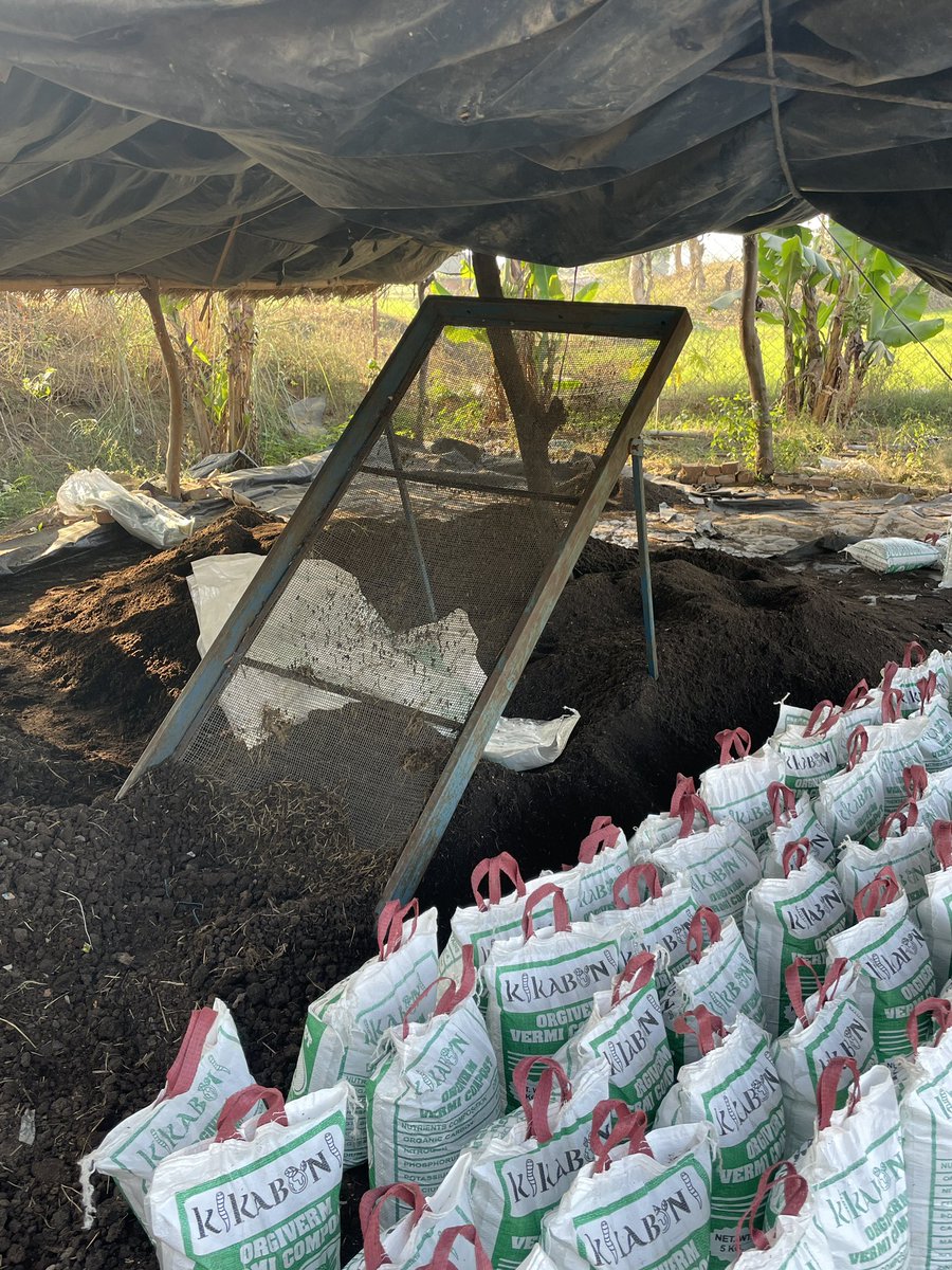 glory_roy's tweet photo. Visited Kikaboni Living Farms on 17th December, along with Dr. Rajendra Ravi and PRC team. You call this farm living farm because it involves an urban way of living healthy with the idea of vermicompost. @kikabonifarms @prc_India https://t.co/Dk1YC0ZeDh