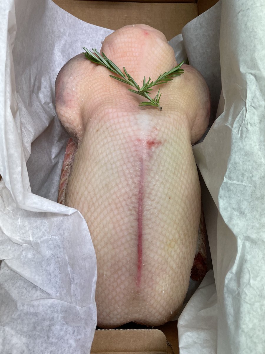 Rossiter Butchers tweet media