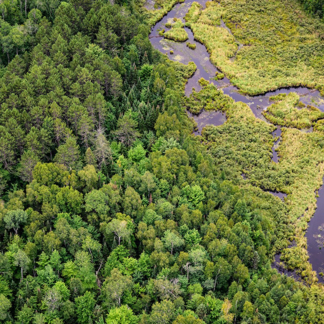 UW Center for Co-ops tweet media