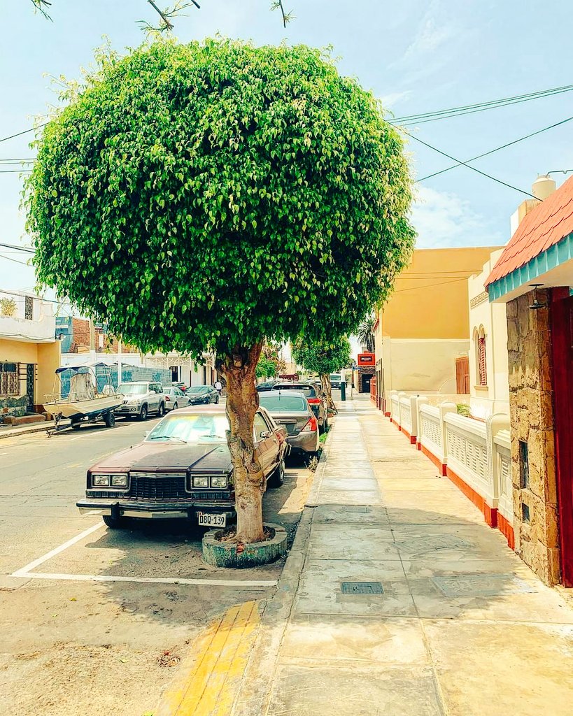 vieri_mubarak's tweet photo. @tmbIrpics atardecer en un lugar random del #callao #Peru #landscapephotography #achevez #morning @municallao
@drecallao Sunset random #Peruvian #lima #Peru https://t.co/alD7AOODEc