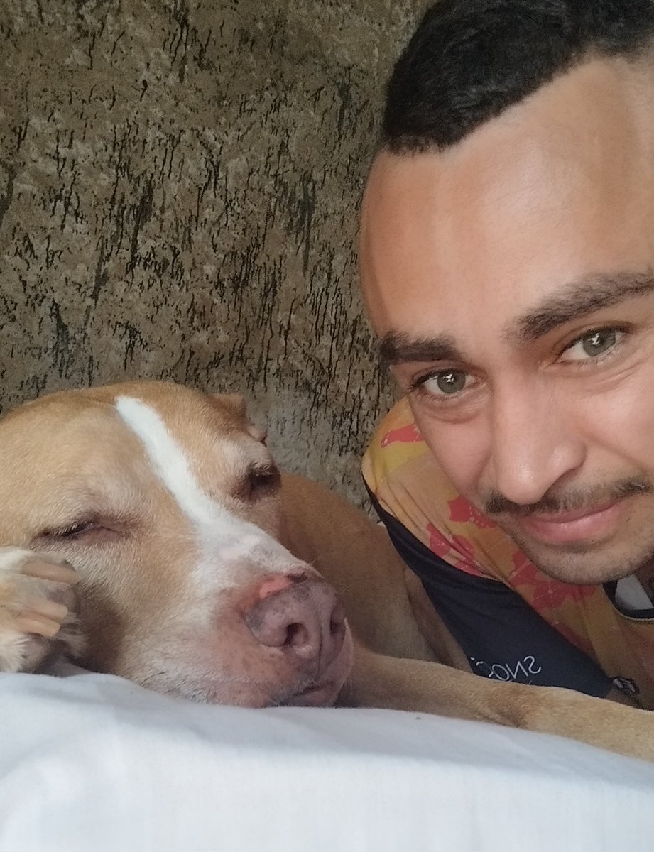 felipe_masoni's tweet photo. Grande aliado #tysom.🐾🐾🐾 https://t.co/6OIibsgogr