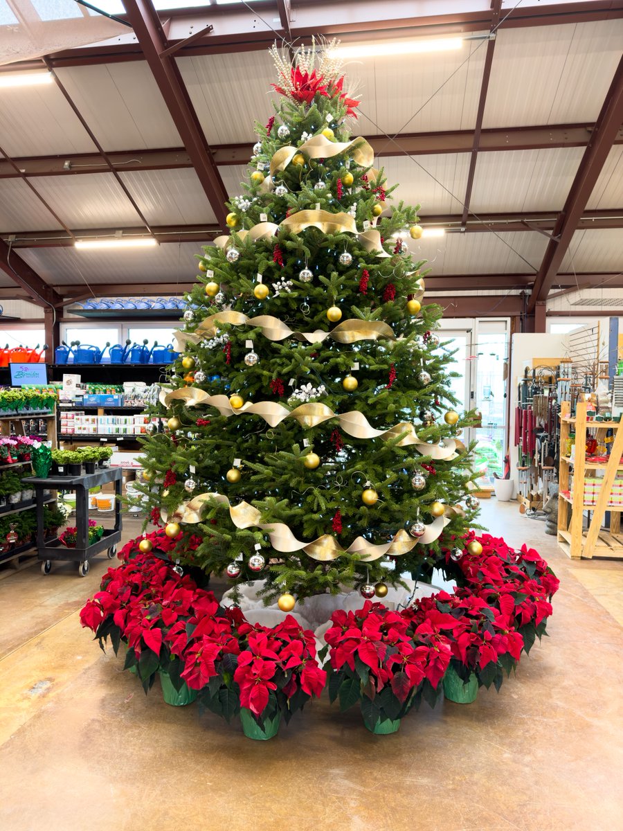 We hope you have a tree-mendously joyful Holiday Season 😉