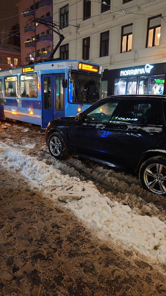 Camilla Holm Soelseth tweet media