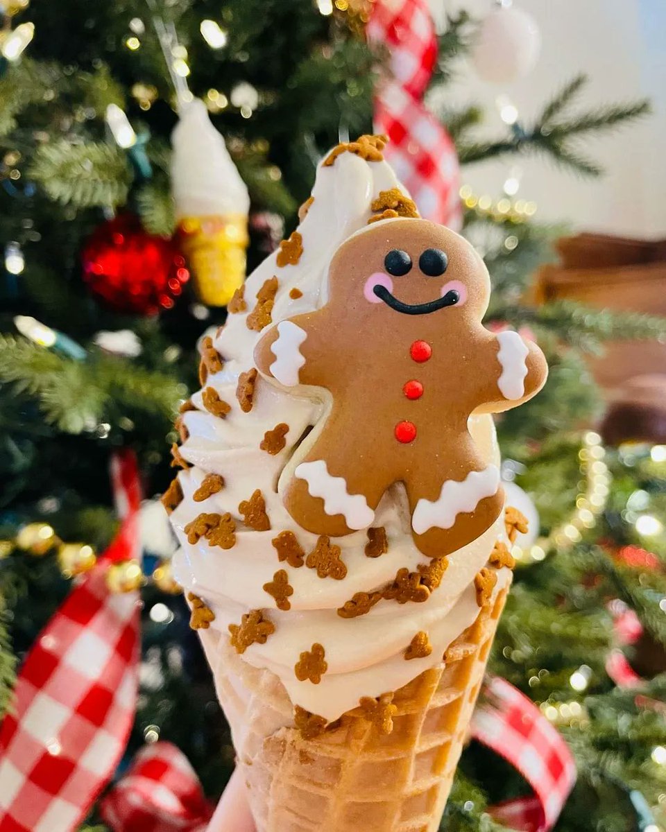 Downtown Knoxville tweet media