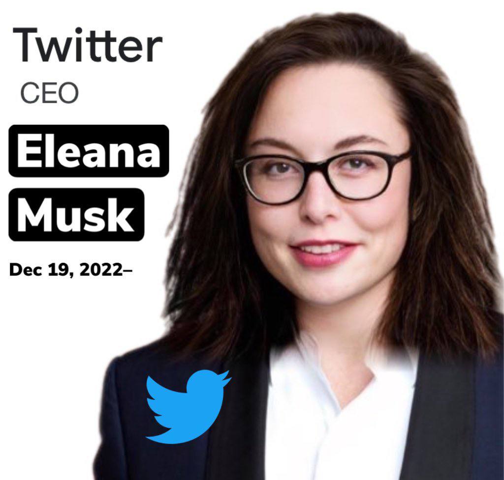 New twitter ceo😀🤩
#Collected but so much funny like Elon musk tweets😁
[<a href="/elonmusk/">Elon Musk</a> please Don't ban us for this🥲]
