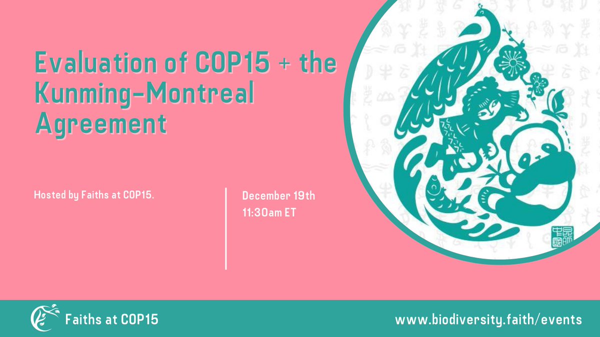 “Now that we have the Kunming-Montreal Global Biodiversity Framework, the work to implement it begins,” said <a href="/BhumiGopalPatel/">Gopal D. Patel</a>.

Want to know our evaluation of #COP15 and the GBF? Watch the recording of our briefing: youtu.be/sl72B_KJnA0

#ForNature #NaturePositive