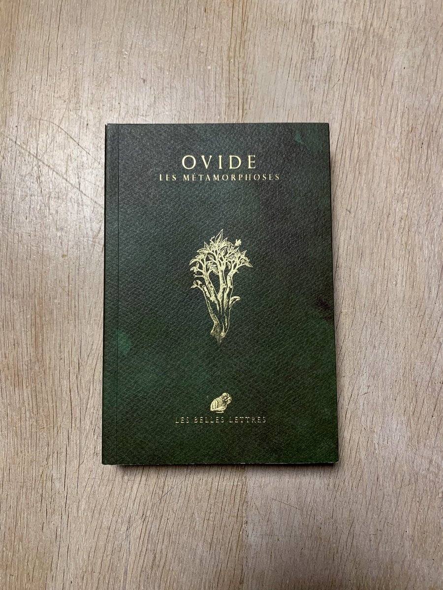 Troian 🍂 tweet media