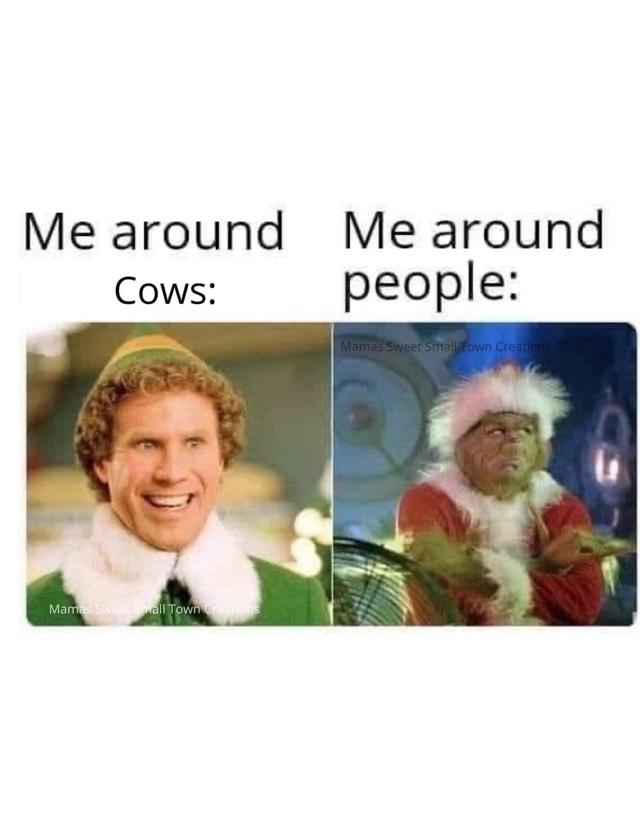 HiDesertVaquera's tweet photo. So true 😂 I love my cows! Who can relate?? https://t.co/ReTqJdDQby