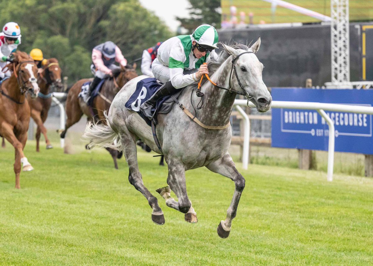 BATBRACING tweet media