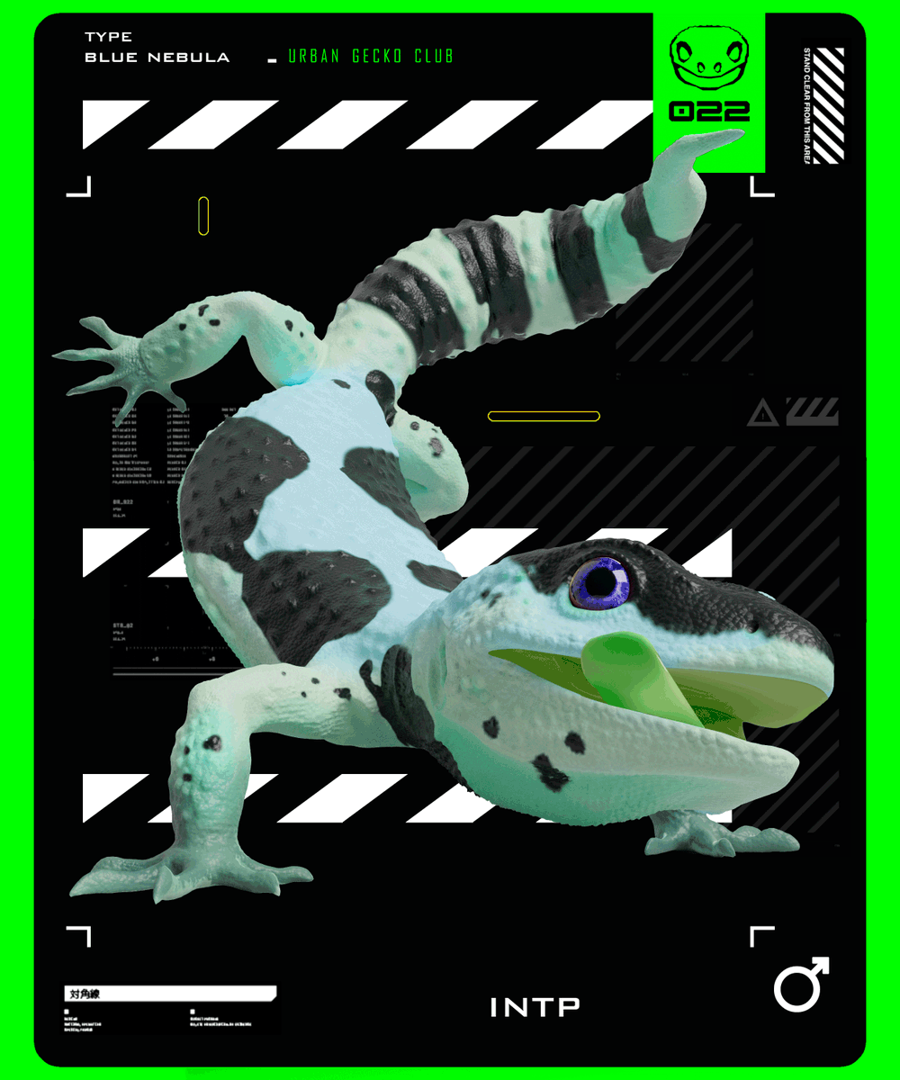 UrbanGeckosClub's tweet photo. Hey fam 🦎
#EthereumNFT #NFTCommunity #NFTs #NFT #giveaways #NFTdrop #web3 #nftart #NFTcollections https://t.co/huTfCFnZoW