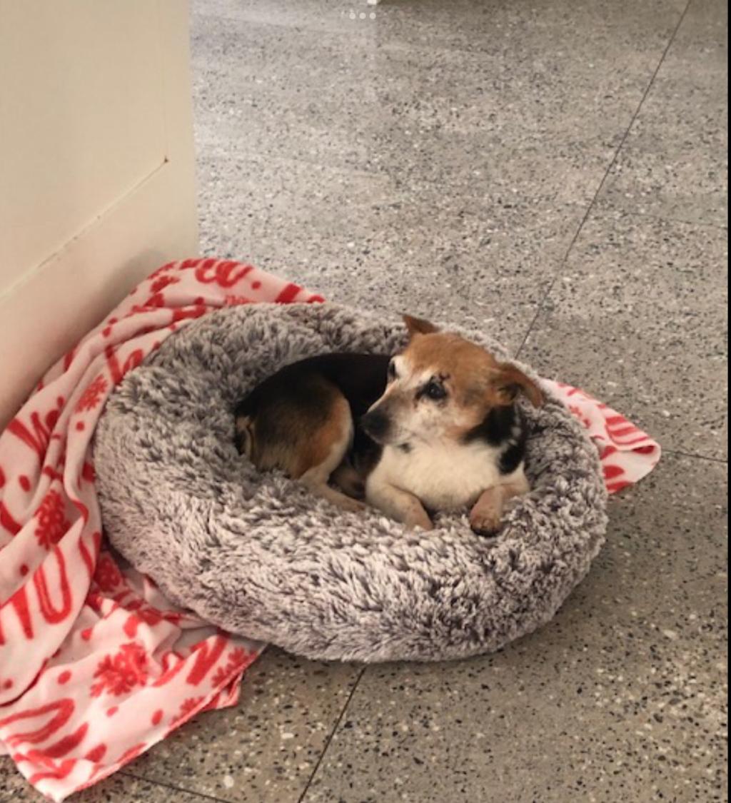 Limerick ETSS tweet media