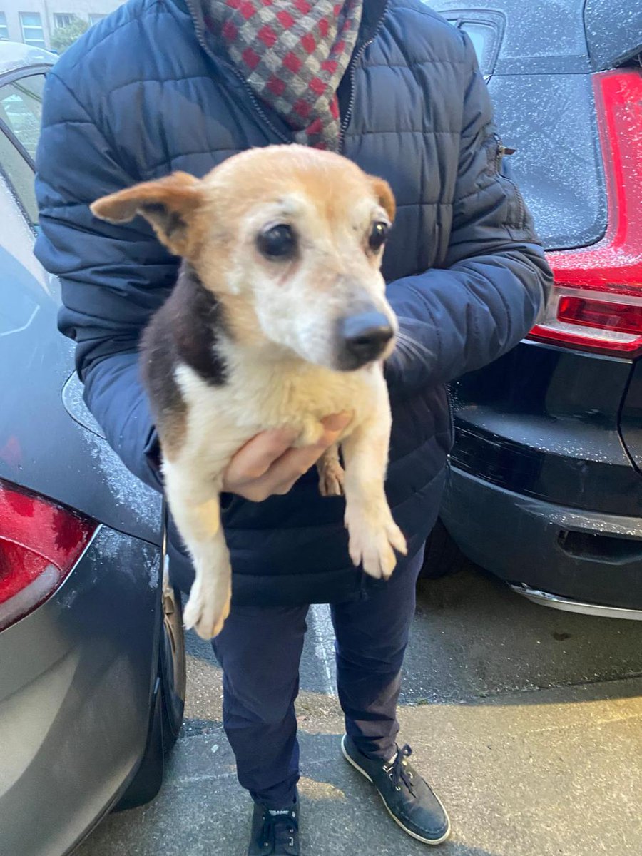 Limerick ETSS tweet media