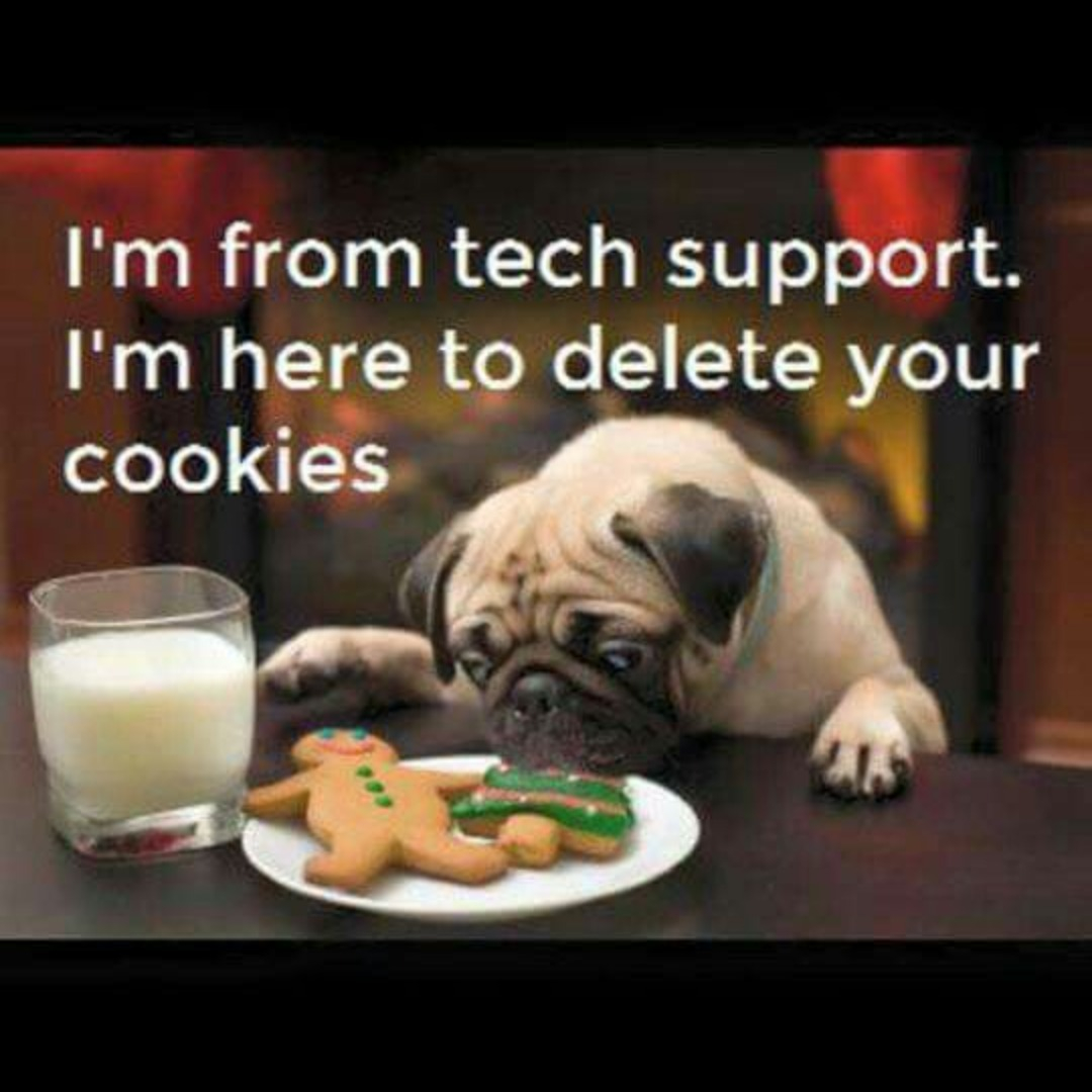 meraki's tweet image. 🤣🍪 Looks like Santa might have competition this year.

📸 TechSoup

#MerakiHumor