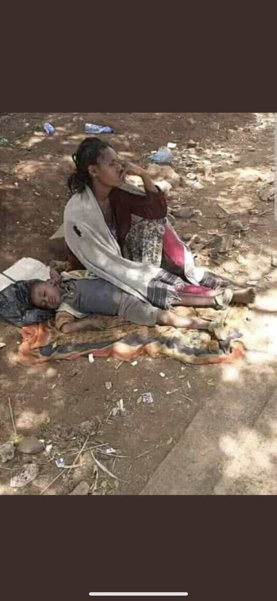nigstikidane's tweet photo. documentary on the ongoing #TigrayGenocide byRomanDebotch is coming Denver SundayNovember 
Watch with us thefilm goalis to spread awareness on thecivilwaranhumanitarian crisis.Allfundswillbe donated https://t.co/HW5eDY1I3m #StopTigrayGenocide😥 #EritreaOutOfTigray @POTUS @VP😭😭 https://t.co/ndv2IZJ3ED