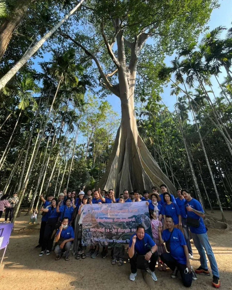together_wow's tweet photo. 😊ทริปเมืองรองสุขใจ #จังหวัดอุทัยธานี
😊เวลา 3วัน 2คืน ผ่านไปไวมาก
☎ 081-451-3581 /098-4955547 / 063-1907919
LINE @ :https://t.co/TV2fHf6jM5
#จัดอบรม #สัมมนาภายในองค์กร
#สัมมนานอกสถานที่ #ละลายพฤติกรรม #TeamBuilding #WalkRally #อยากสนิทให้ติดwow #ทัวร์ #ทัวร์เที่ยวไทย https://t.co/otsYZl8fOK