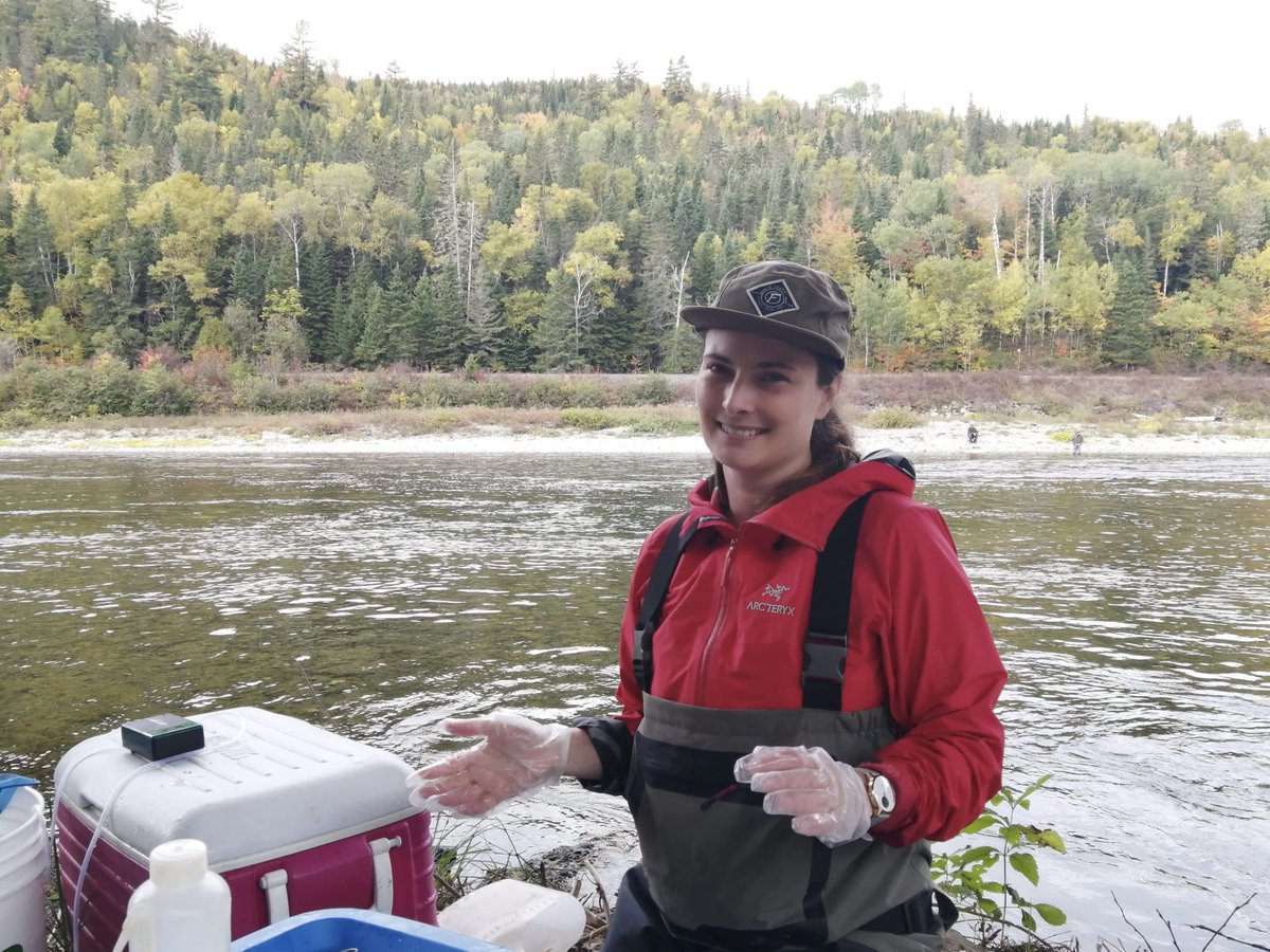 ASRJV_PCRSA's tweet photo. Highlighting one of our talented researchers: @manuchretien

Emmanuelle is a fish biologist using integrative approaches to study fish-habitat relationships. Her postdoc with @inrsciences &amp; @ASRJV_PCRSA focuses on the effects of heat stress events on the growth of Atlantic salmon https://t.co/vs5REQ8aHG