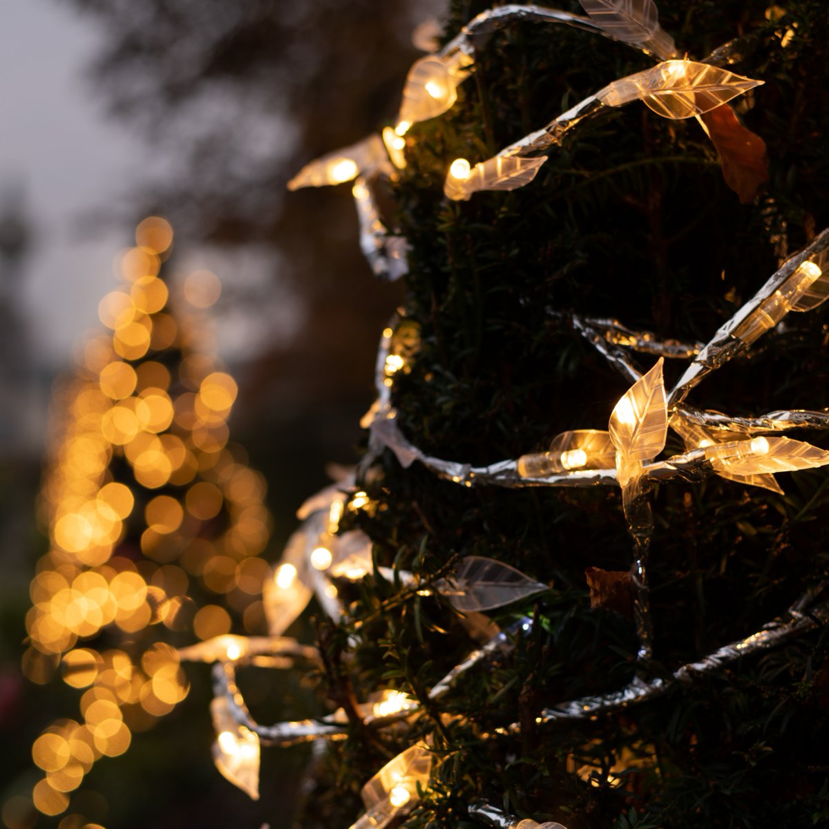 Clarks Village. Somerset Outlet Shopping on Twitter "Are you a last