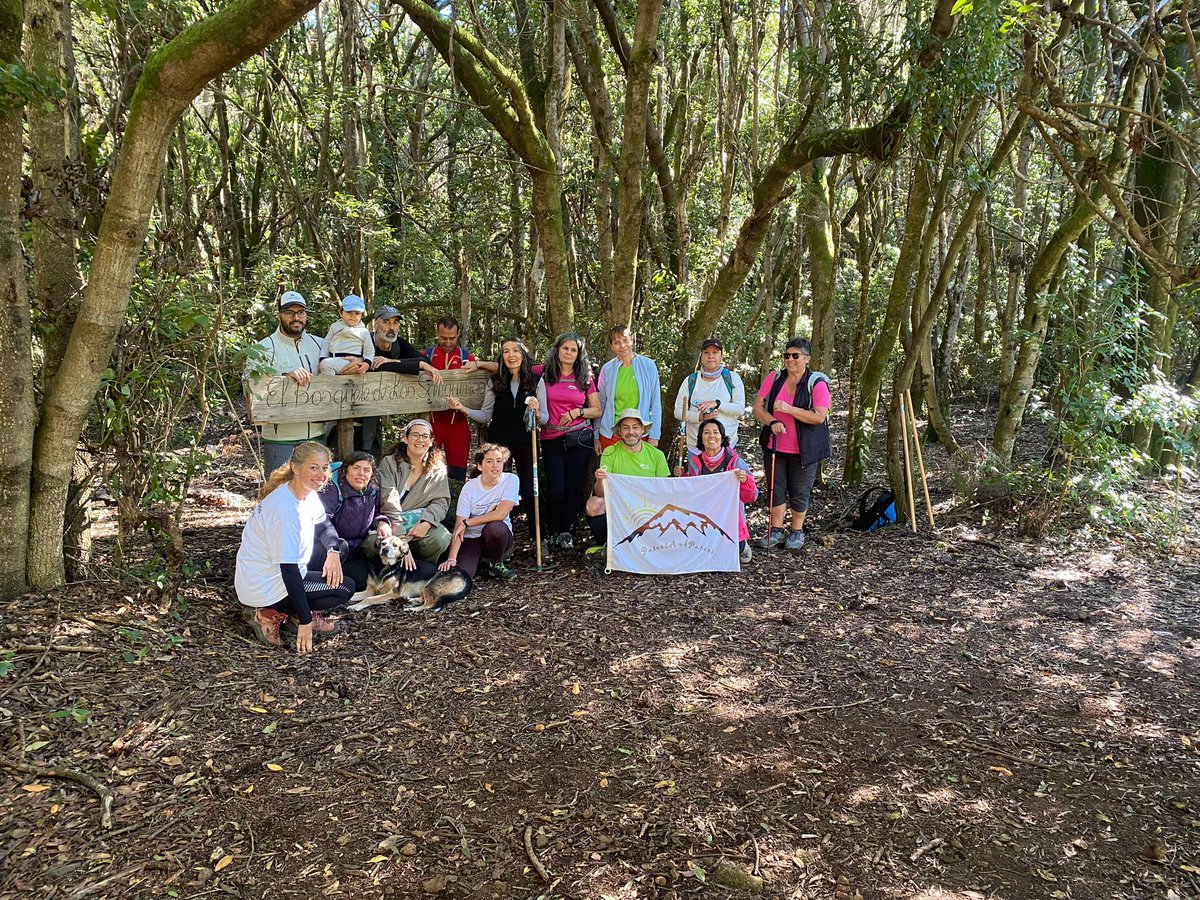 Des_Sostenible's tweet photo. #VoluntariadoAmbiental Dieciocho voluntarios/as disfrutaron ayer de una jornada de senderismo temático, limpieza de residuos y repoblación de sanguinos en el Bosquete de Los Sanguinos, en Santa Úrsula
#OPVA https://t.co/WiF5ZMWepN