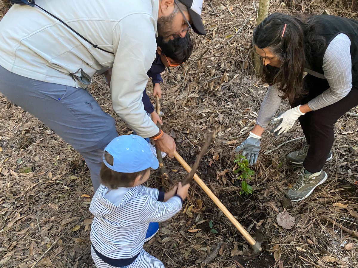 Des_Sostenible's tweet photo. #VoluntariadoAmbiental Dieciocho voluntarios/as disfrutaron ayer de una jornada de senderismo temático, limpieza de residuos y repoblación de sanguinos en el Bosquete de Los Sanguinos, en Santa Úrsula
#OPVA https://t.co/WiF5ZMWepN