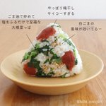 これが「梅干し」のおにぎりにベストだと思う。シンプルに美味しい。