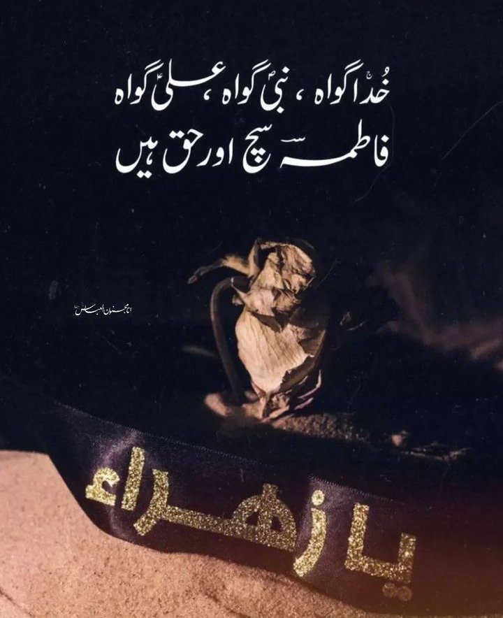 🦋 Fizza Rizvi 🦋 tweet media