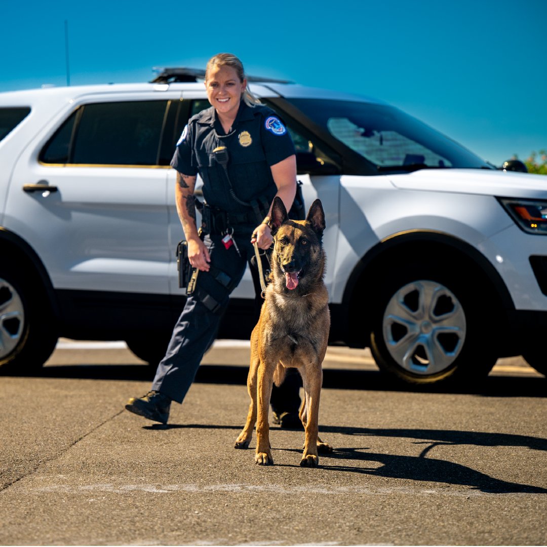 CapitolPolice's tweet photo. Whether you’re a dog lover like K-9 Technician Saddie Todd, or a people-person like our Visitor Center &amp; Screening officers, there are plenty of ways for you to find your ideal place within the Capitol Police family. @visitthecapitol 

#JoinUSCP #Jobs #Hiring #JoinUSCapitolPolice https://t.co/bsNSOskcvf