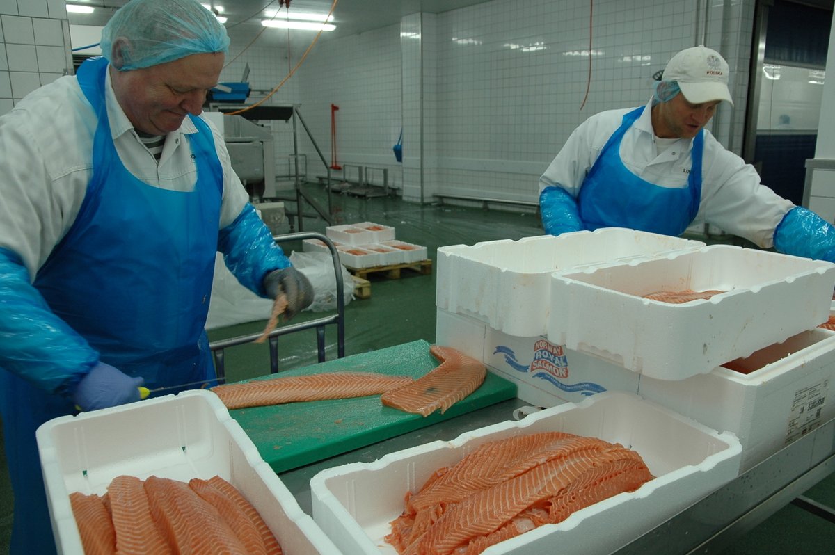 Norwegen: Lachssteuer zukünftig auf Basis faktisch erzielter Preise dlvr.it/SfcGnh